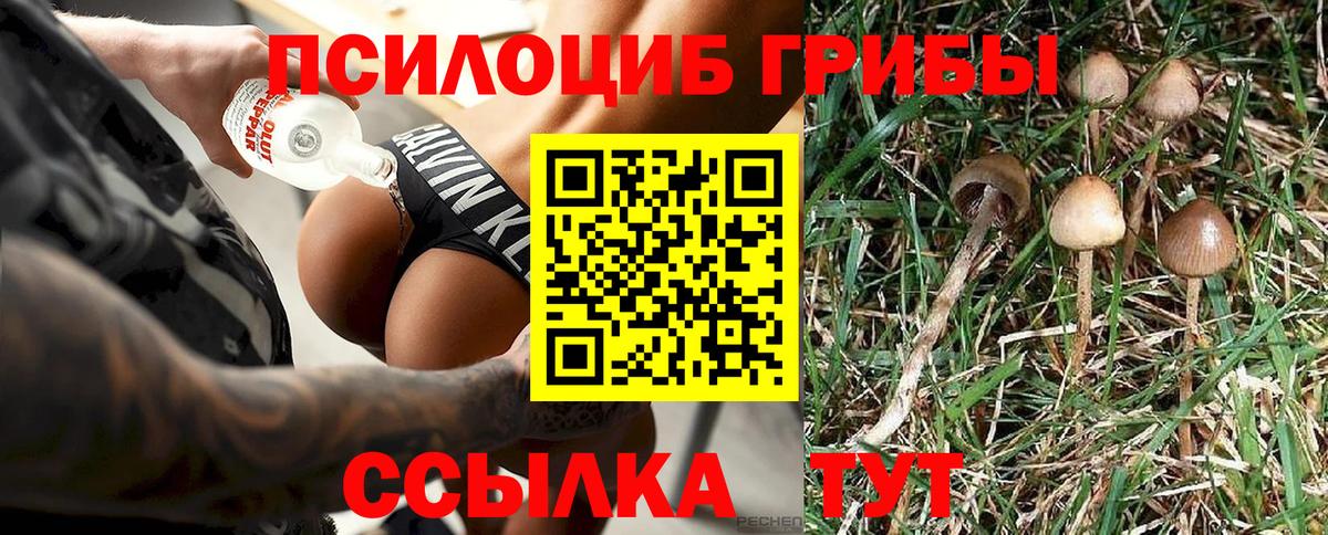 Псилоцибиновые грибы GOLDEN TEACHER Верхний Уфалей