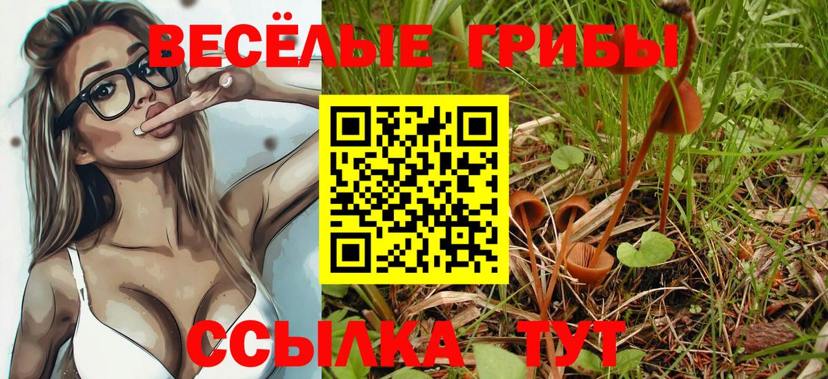 Верхний Уфалей  Галлюциногенные грибы GOLDEN TEACHER  Галлюциногенные грибы Psilocybe  где купить наркотик  Вход с VPN 